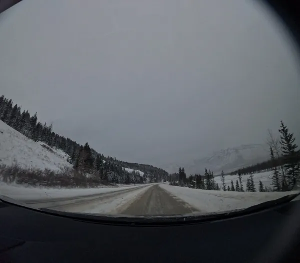 Photo 919