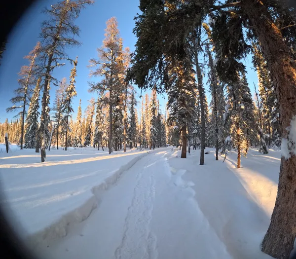 Photo 3245