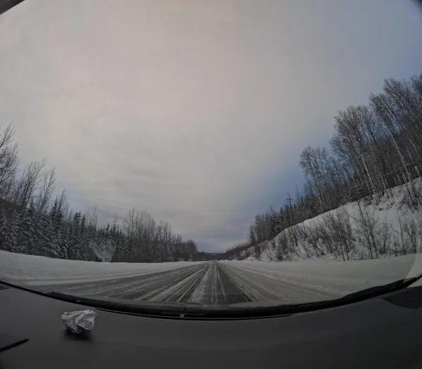 Photo 4237