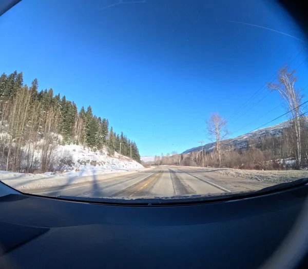 Photo 441