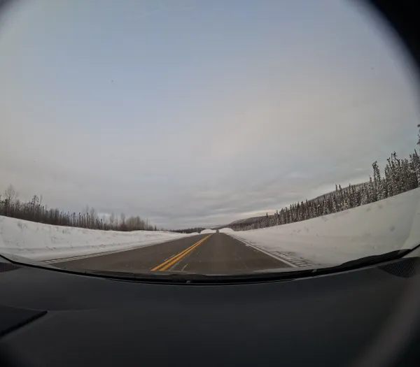 Photo 2459